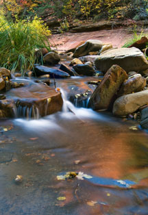 Oak Creek's healing waters flow through Sedona Arizona's red rock country